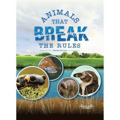 Natasha Vizcarra - Animals That Break the Rules, Häftad. Tillgänglighet: Lägg i varukorg