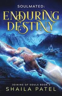 bokomslag Enduring Destiny