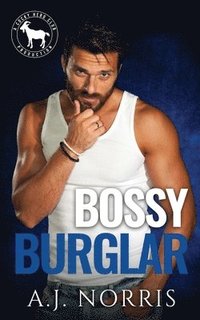bokomslag Bossy Burglar