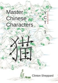 bokomslag Master Chinese Characters