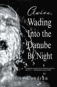 bokomslag Claire, Wading Into the Danube by Night