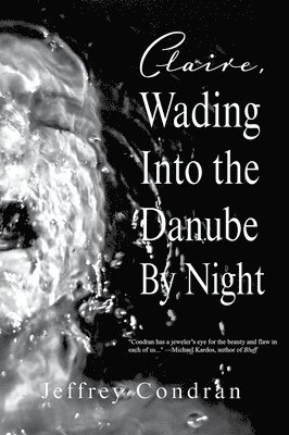 bokomslag Claire, Wading Into the Danube by Night