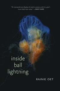 bokomslag Inside Ball Lightning