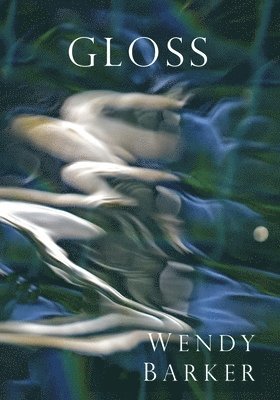 Wendy Barker - Gloss, Häftad