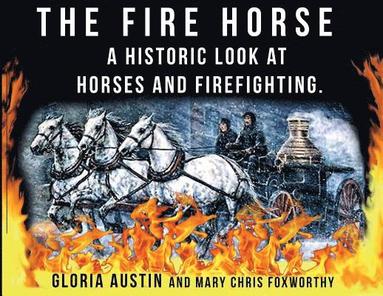 bokomslag Fire Horse