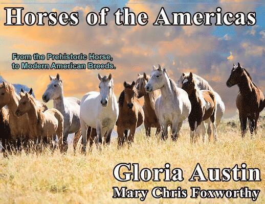 Horses of the Americas 1