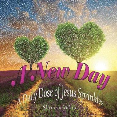 bokomslag A New Day!: A Daily Dose of Jesus Sprinkles