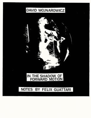 David Wojnarowicz: In the Shadow of Forward Motion, Häftad