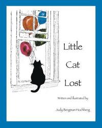 bokomslag Little Cat Lost