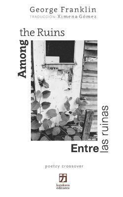 Among the Ruins/Entre las ruinas 1
