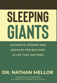 bokomslag Sleeping Giants