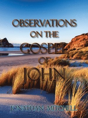 Observations on the Gospel of John 1