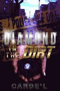 bokomslag Diamond in the Dirt