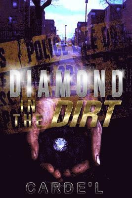 bokomslag Diamond in the Dirt