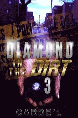 bokomslag Diamond in the dirt 3