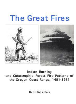 bokomslag The Great Fires