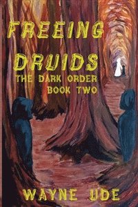 bokomslag Freeing Druids