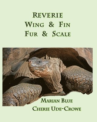 Reverie Wing & Fin Fur & Scale