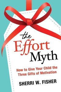 bokomslag Effort Myth