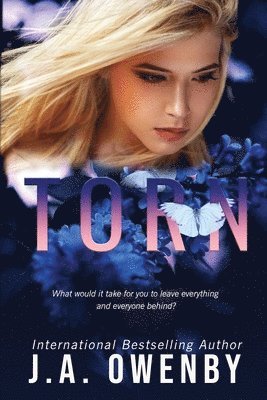 J a Owenby - Torn, Häftad