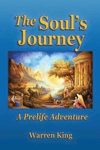 bokomslag The Soul's Journey: A Pre-Life Adventure - Narayan's Preparation for his Next Earthly Life