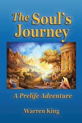 The Soul's Journey: A Pre-Life Adventure - Narayan's Preparation for his Next Earthly Life 1