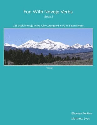 Fun With Navajo Verbs Book 2 1