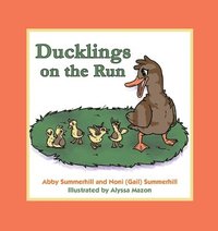 bokomslag Ducklings on the Run