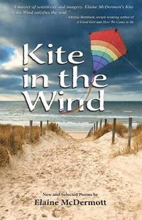 bokomslag Kite in the Wind