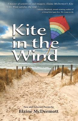 Kite in the Wind 1