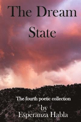 bokomslag The Dream State: The fourth poetic collection