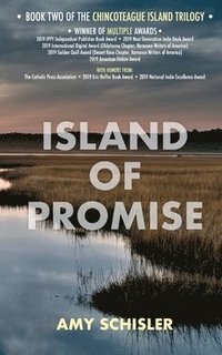bokomslag Island of Promise
