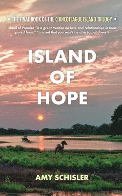 bokomslag Island of Hope