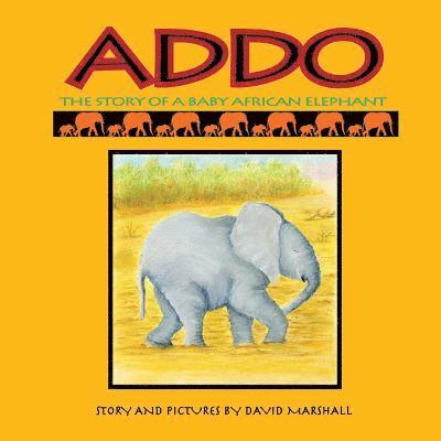 Addo: The Story Of A Baby African Elephant 1