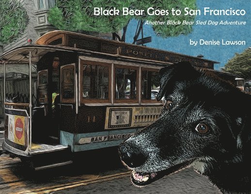 Black Bear Goes to San Francisco 1