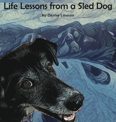 Life Lessons from a Sled Dog