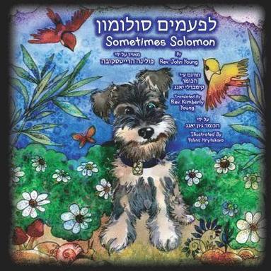 bokomslag Sometimes Solomon - Hebrew Translation