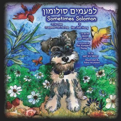 John Young, Rev. John Young - Sometimes Solomon - Hebrew Translation: Sometimes a dog is just a dog, Häftad