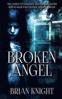 bokomslag Broken Angel