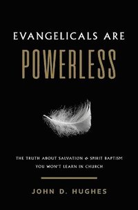 bokomslag Evangelicals Are Powerless
