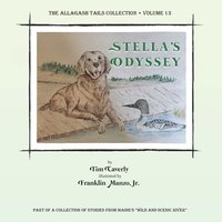 bokomslag Stella's Odyssey