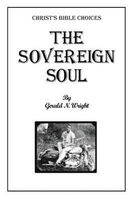 bokomslag The Sovereign Soul