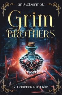 bokomslag Grim Brothers