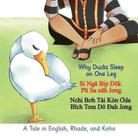 bokomslag Why Ducks Sleep on One Leg
