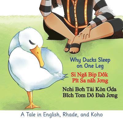 Why Ducks Sleep on One Leg 1