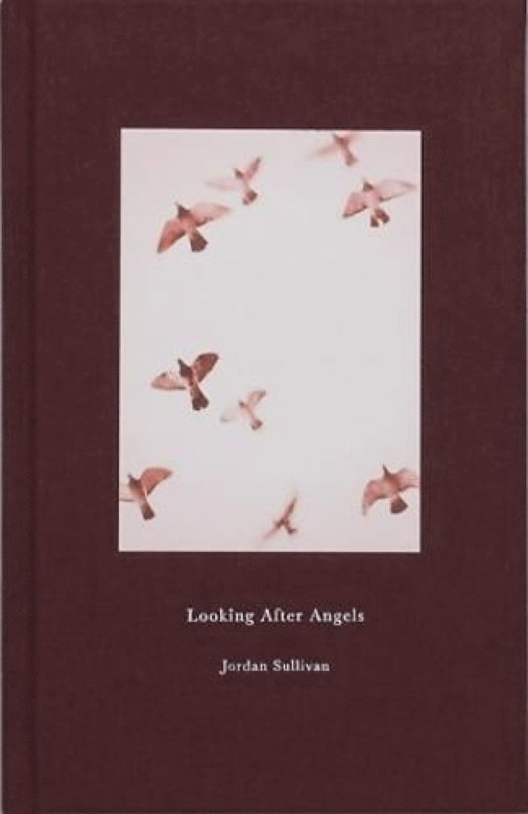 JORDAN SULLIVAN - Looking After Angels, Inbunden
