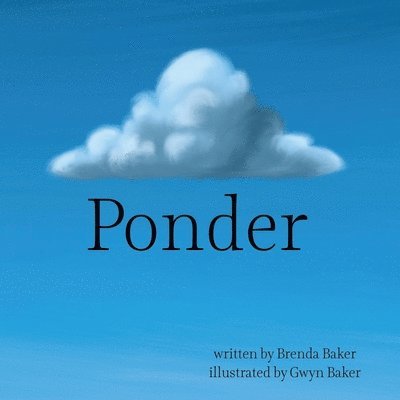 Ponder 1