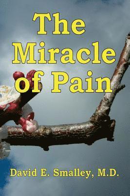 bokomslag The Miracle of Pain