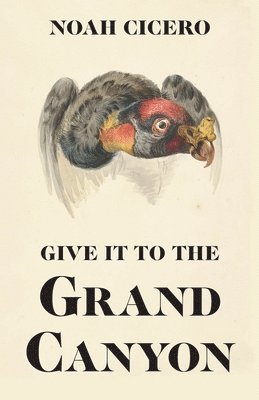 Noah Cicero - Give It to the Grand Canyon, Häftad