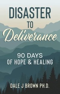 bokomslag Disaster to Deliverance: 90 Days of Hope & Healing